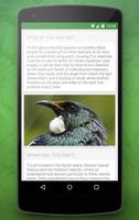 Birdlife of New Zealand screenshot 2