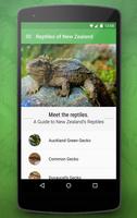 Reptiles of New Zealand poster