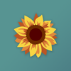 solpass games solpass games