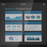 CGS BlueCherry SFC AI Tool icon