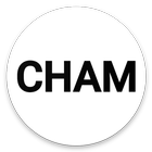 CHAM NSIT Connect icon