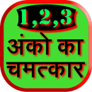 Anko Ka Chamatkar - Numerology APK