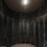 3D Interrogation Chamber