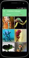 Chameleon Wallpaper اسکرین شاٹ 1