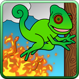 Crazy Chameleon icon