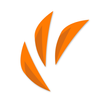 Care724 APK
