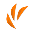 Care724 APK