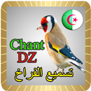 APK Chant Chardonneret Algerie