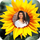 Sunflower Profile Photo Frames APK
