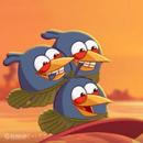 Guide for Angry Birds Seasons APK