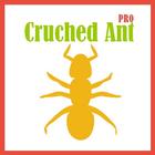 Cruched Ant-icoon