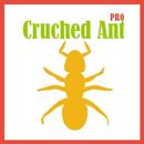 Cruched Ant APK