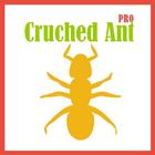Cruched Ant 图标