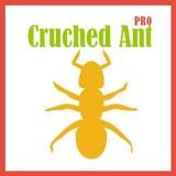 Cruched Ant icône