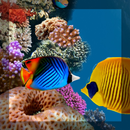 Aquarium HQ Live Wallpaper APK