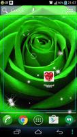 Green Rose Live Wallpaper Affiche