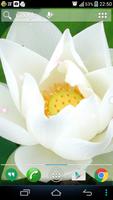 White Lotus Live Wallpaper capture d'écran 3