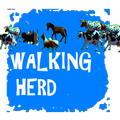 Walking Herd