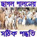 ছাগল পালন পদ্ধতি APK