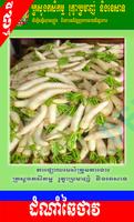 បច្ចេកទេសដាំដំណាំ ឆៃថាវ স্ক্রিনশট 1