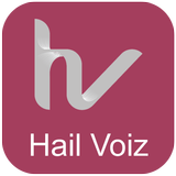 HailVoiz иконка