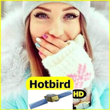 ترددات جميع قنوات هوت بيرد 2018 ícone