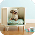 Dog Room Decor