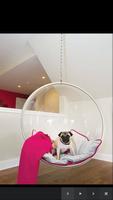 Dog Room Decor captura de pantalla 3