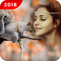 Wildlife Photo Frame - Photo Blend