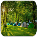 APK Campeggio Suoni