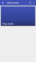鳥の音 スクリーンショット 1