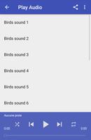 Birds sounds syot layar 2