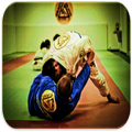 Judo teknikleri