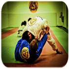 Judo techniques ไอคอน