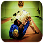 Judo techniques آئیکن