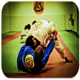 Judo techniques آئیکن