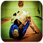 Judo techniques icon