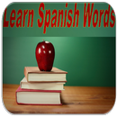 Leer Spaanse woorden-APK