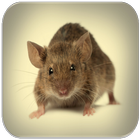 Mouse and Rat sounds icon