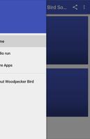 Woodpecker Bird Sounds bài đăng