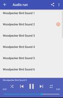Sonidos de pájaro carpintero captura de pantalla 1