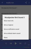 برنامه‌نما Woodpecker Bird Sounds عکس از صفحه