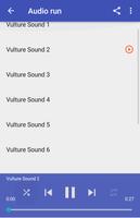 Sonidos de buitre captura de pantalla 1