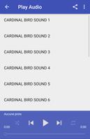 Cardinal bird sounds اسکرین شاٹ 2