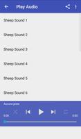 برنامه‌نما Sheep Sounds عکس از صفحه