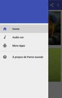 Parrot sounds โปสเตอร์