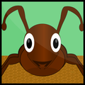 Ant Evolution