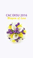 CACEKSU 2016 poster
