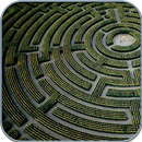 Maze Runner 3D APK