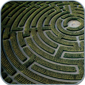 Maze Runner 3D icon